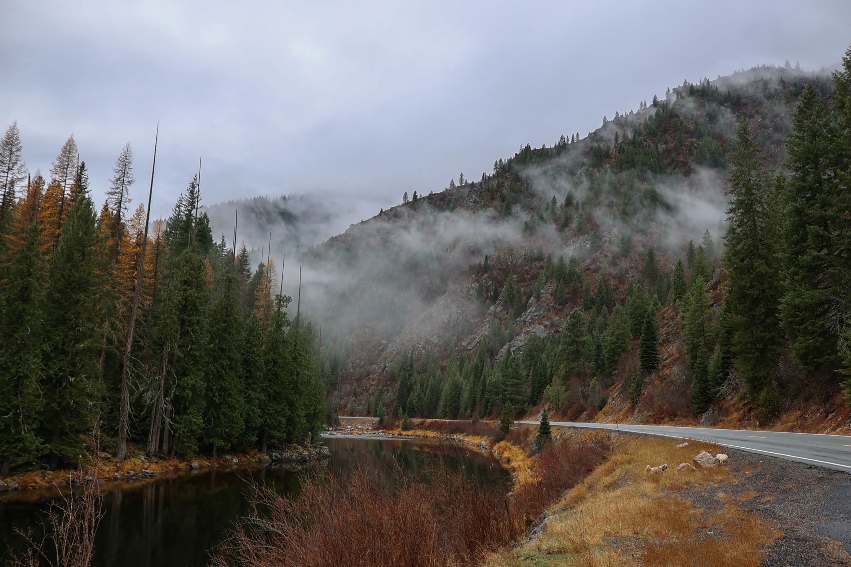 Lewiston, ID Shutterstock 2627624683